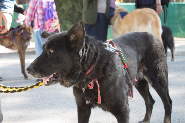 multimedia-foto35708-20-3