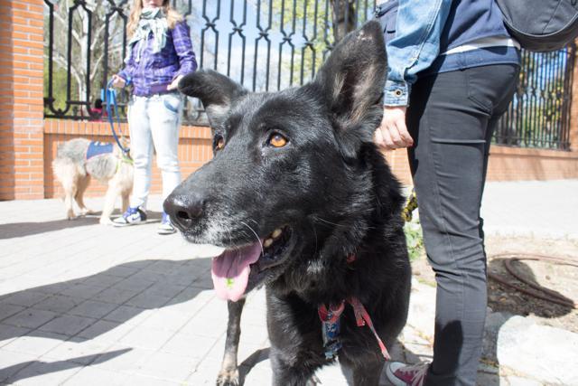 multimedia-foto35710-78-3