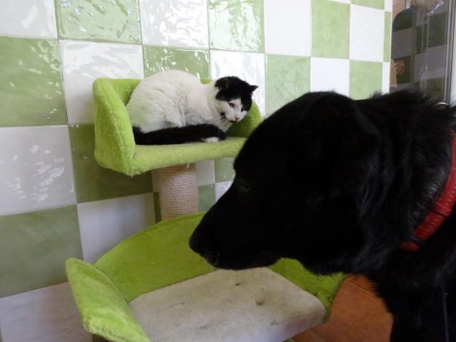 multimedia-foto35711-99-3