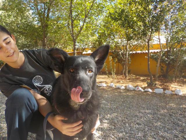 multimedia-foto35712-116-3