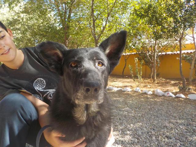 multimedia-foto35713-132-3