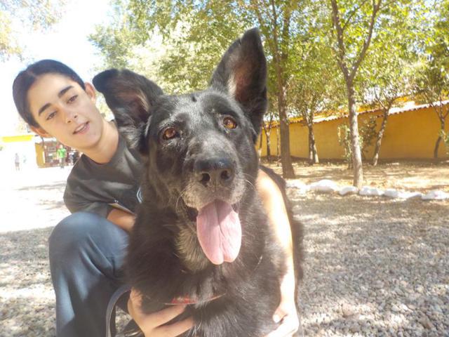 multimedia-foto35714-138-3