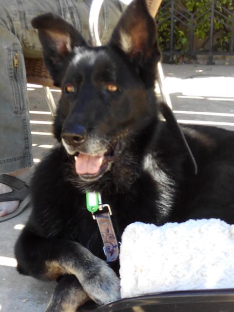 multimedia-foto35716-145-3