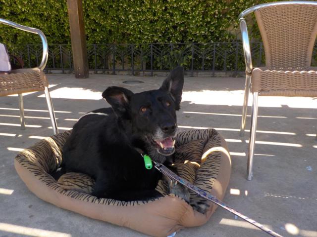 multimedia-foto35717-148-3