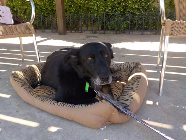 multimedia-foto35718-151-3