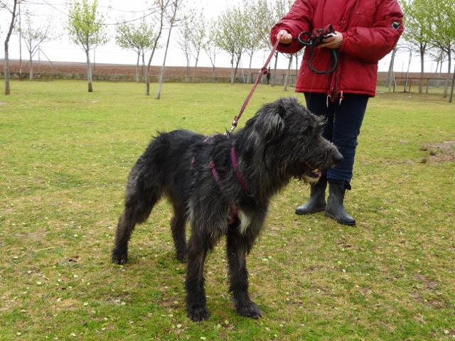 multimedia-foto35732-665-3