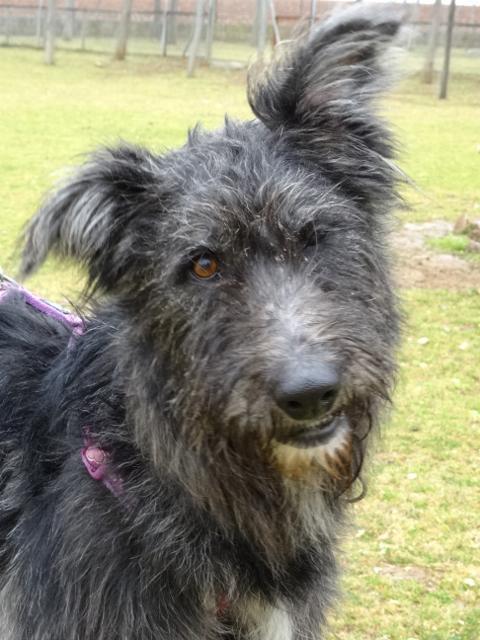 multimedia-foto35733-879-3