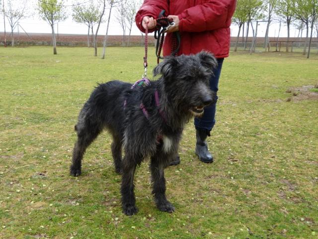 multimedia-foto35734-80-3