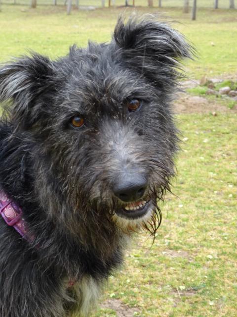 multimedia-foto35735-274-3