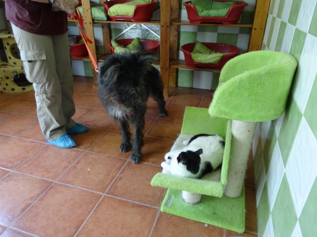 multimedia-foto35737-594-3