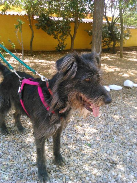 multimedia-foto35738-722-3