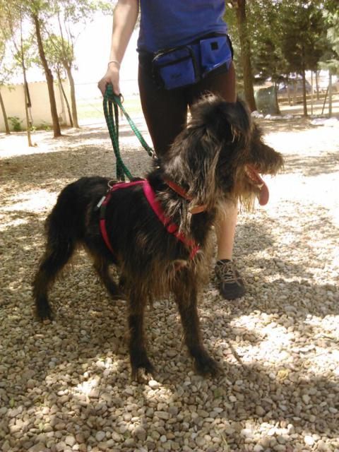 multimedia-foto35739-831-3