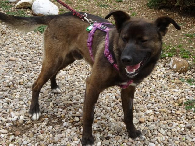 multimedia-foto35742-451-3