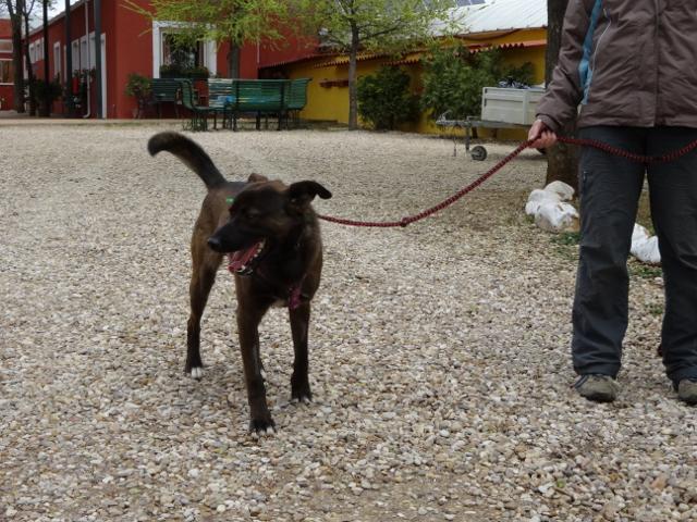 multimedia-foto35743-675-3