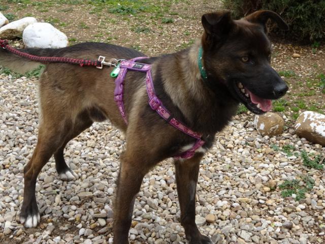 multimedia-foto35744-889-3