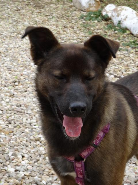 multimedia-foto35745-89-3