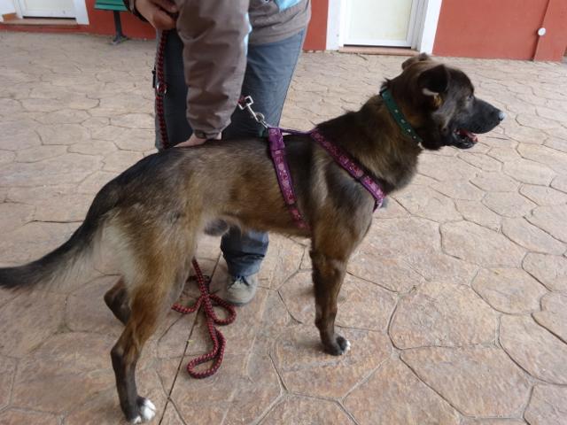 multimedia-foto35747-449-3