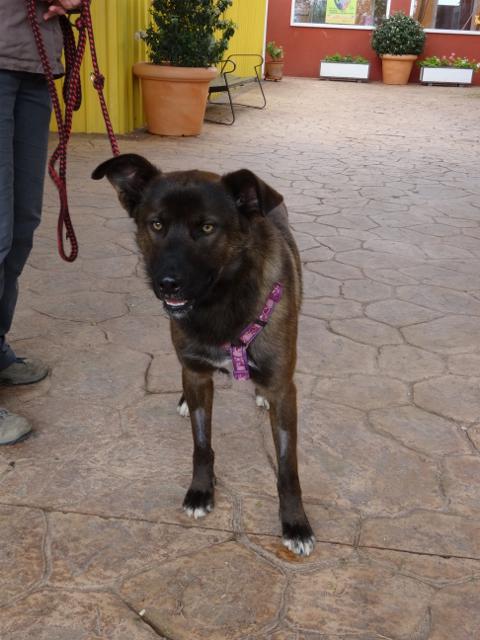 multimedia-foto35748-601-3