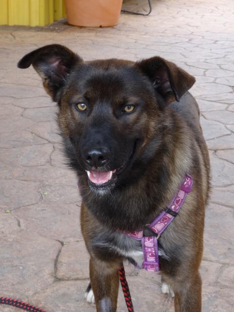 multimedia-foto35749-728-3