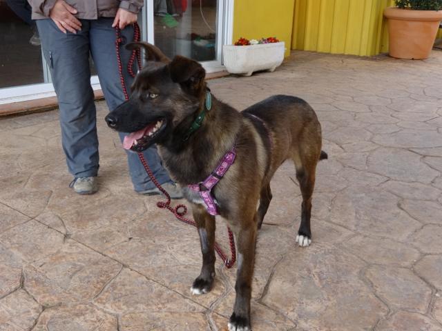 multimedia-foto35750-836-3