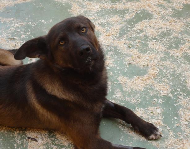 multimedia-foto35752-949-3