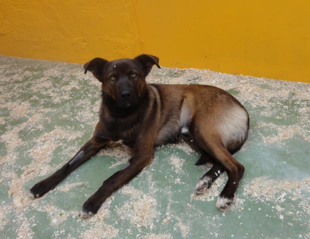 multimedia-foto35753-991-3