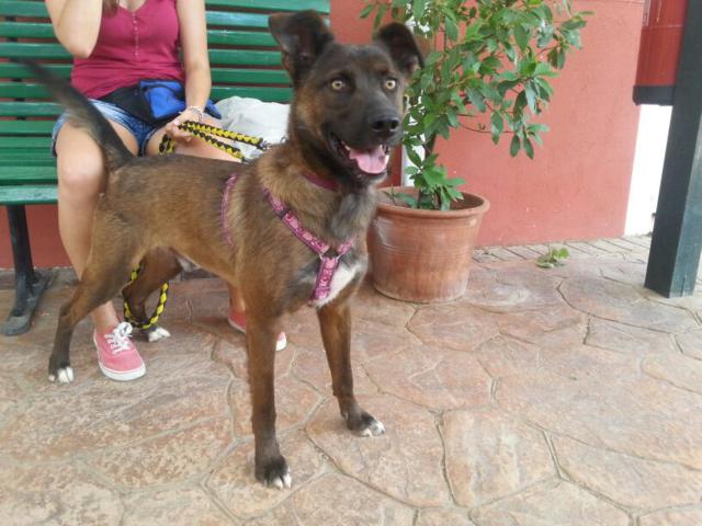 multimedia-foto35756-81-3