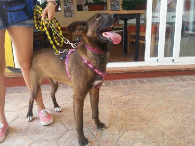 multimedia-foto35757-103-3