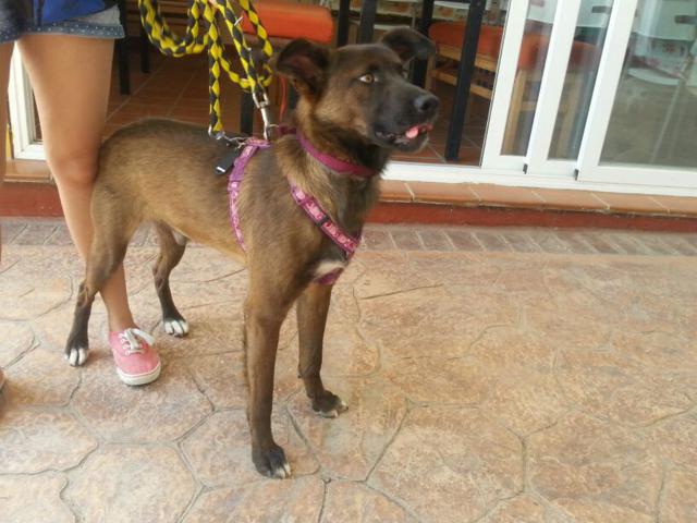 multimedia-foto35758-120-3