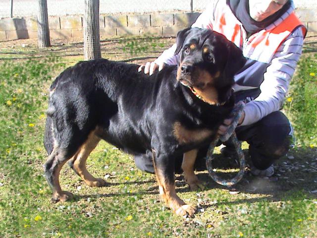 multimedia-foto35763-465-3