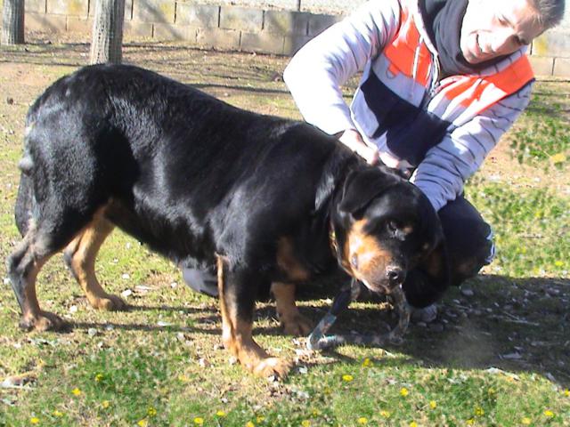 multimedia-foto35765-905-3