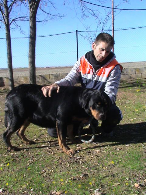 multimedia-foto35766-105-3