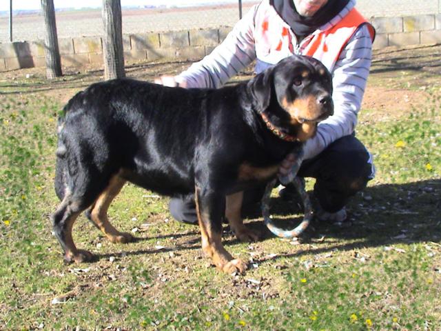 multimedia-foto35767-293-3