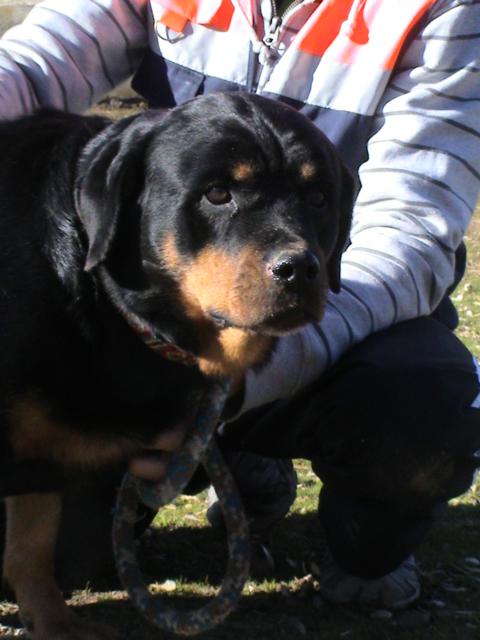 multimedia-foto35770-736-3