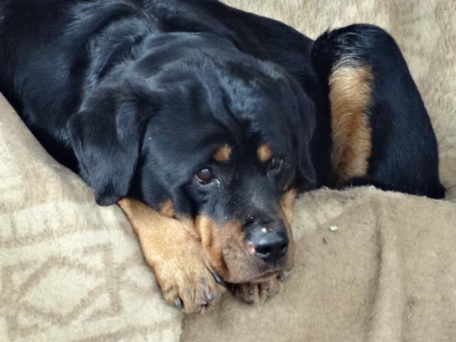 multimedia-foto35772-906-3