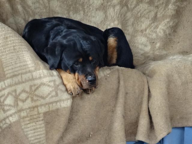 multimedia-foto35773-952-3