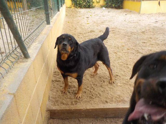 multimedia-foto35774-993-3