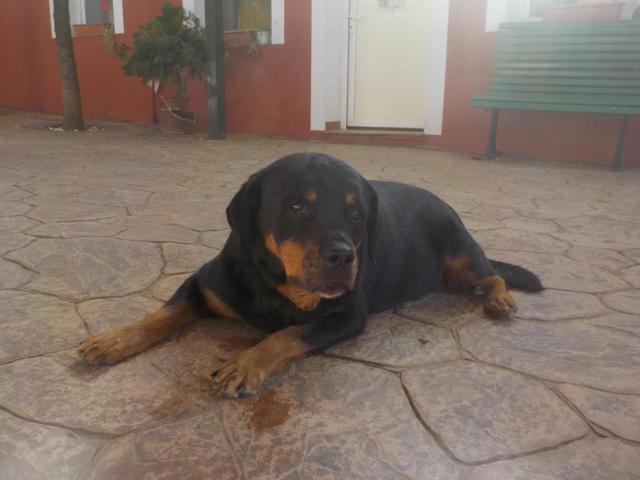 multimedia-foto35775-27-3