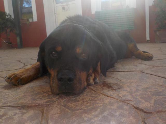 multimedia-foto35777-82-3