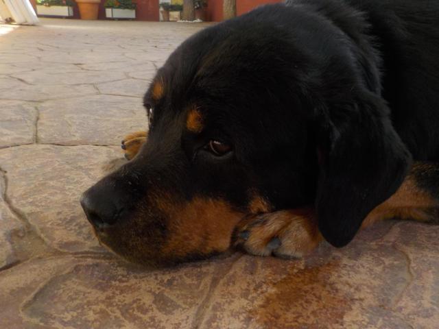 multimedia-foto35778-103-3