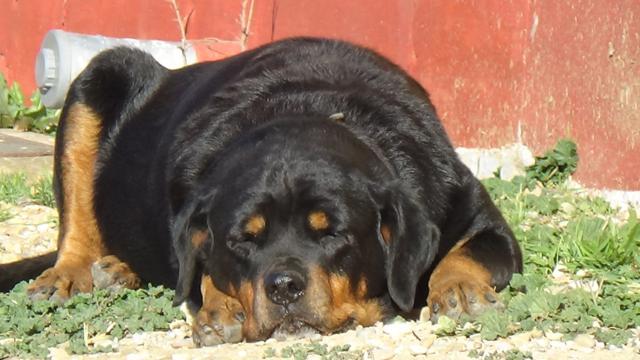 multimedia-foto35779-120-3