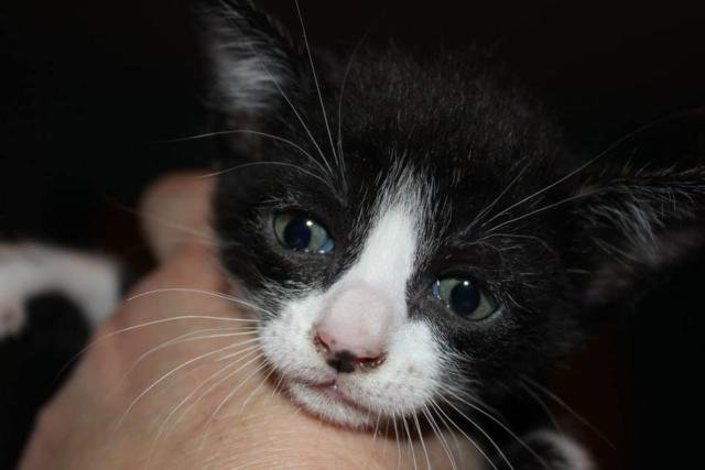 multimedia-foto35782-706-3