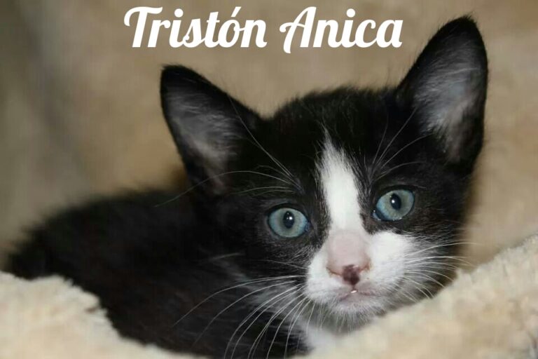 multimedia-foto35791-492-3