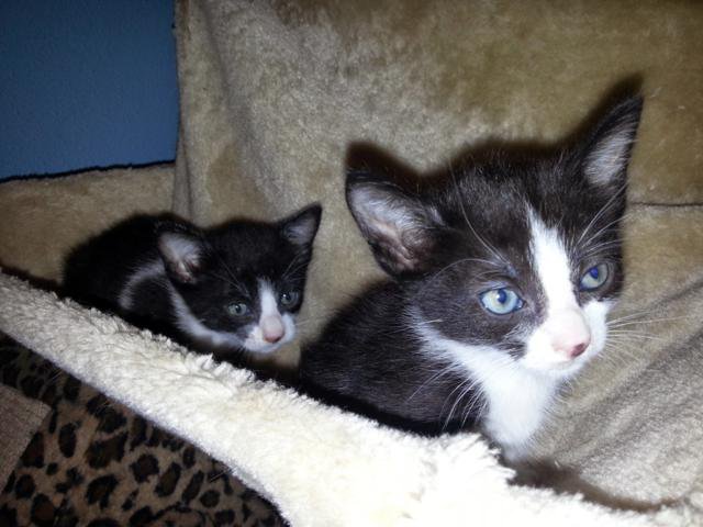 multimedia-foto35792-714-3