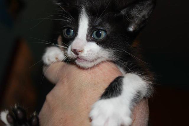 multimedia-foto35794-128-3