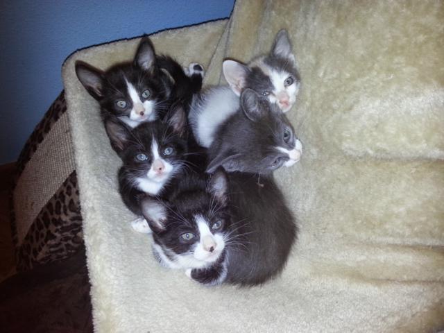 multimedia-foto35795-312-3