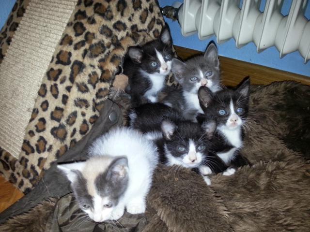 multimedia-foto35799-853-3