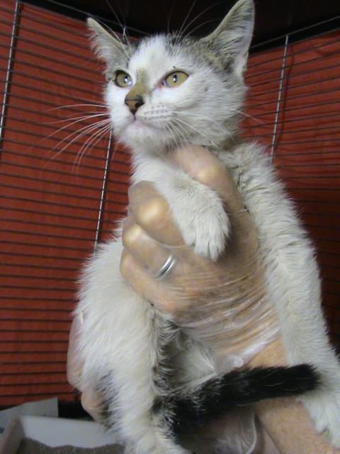 multimedia-foto35803-935-3