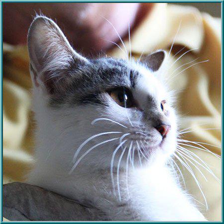 multimedia-foto35806-486-3