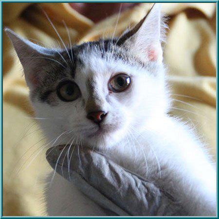 multimedia-foto35807-632-3